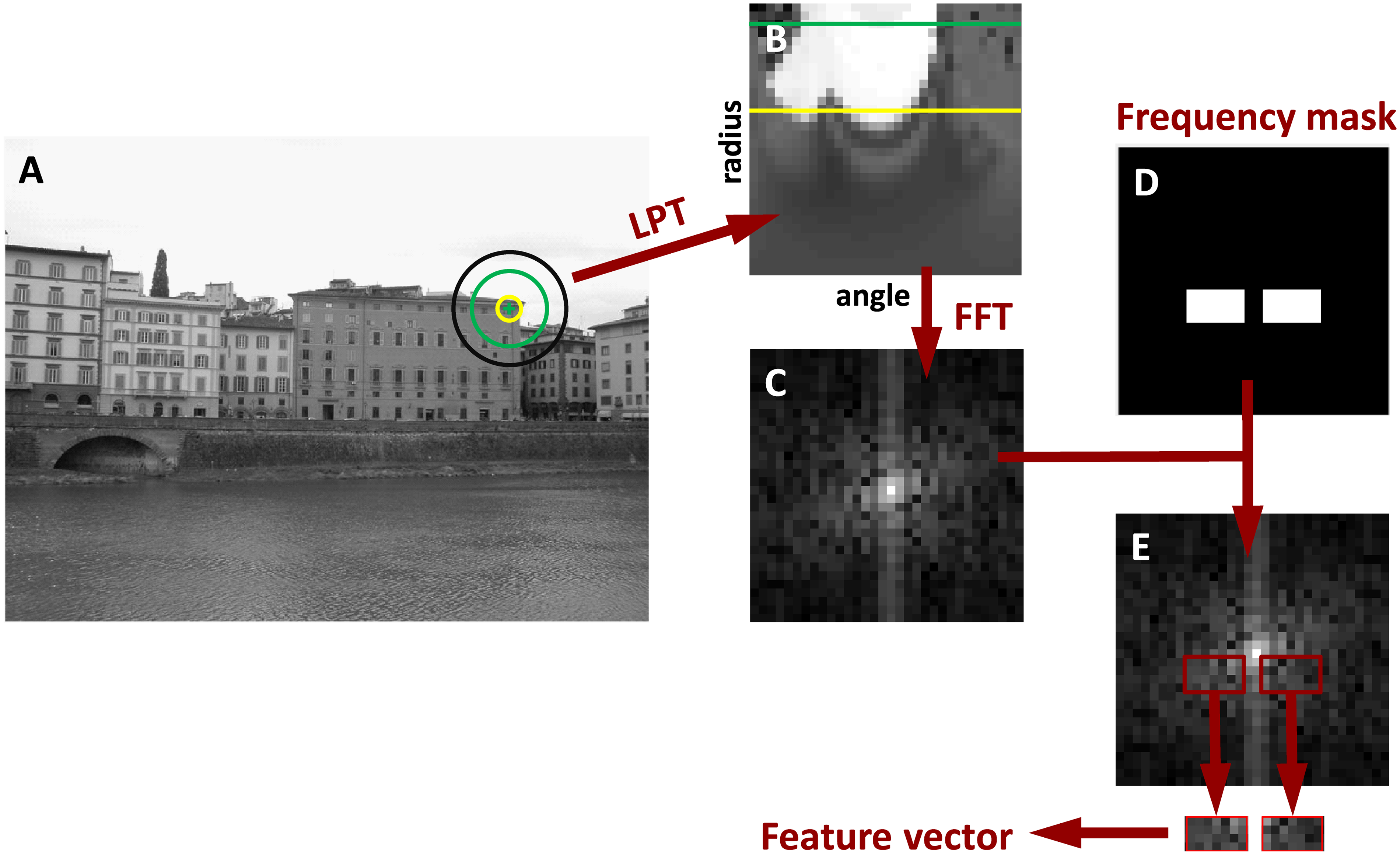 journal.pone.0188496.g001
