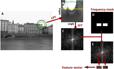 journal.pone.0188496.g001