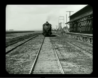 SpryLividCowbird-small